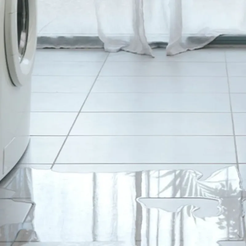 Appliance Leak Cleanup in Ward County, TX