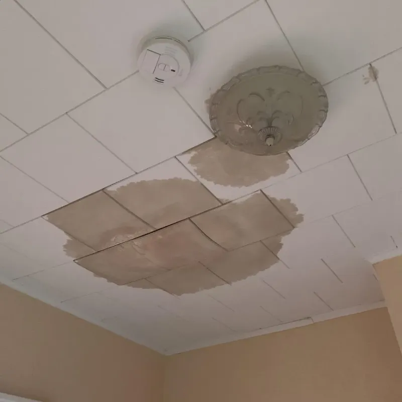 Ceiling Water Damage Repair in Ward County, TX