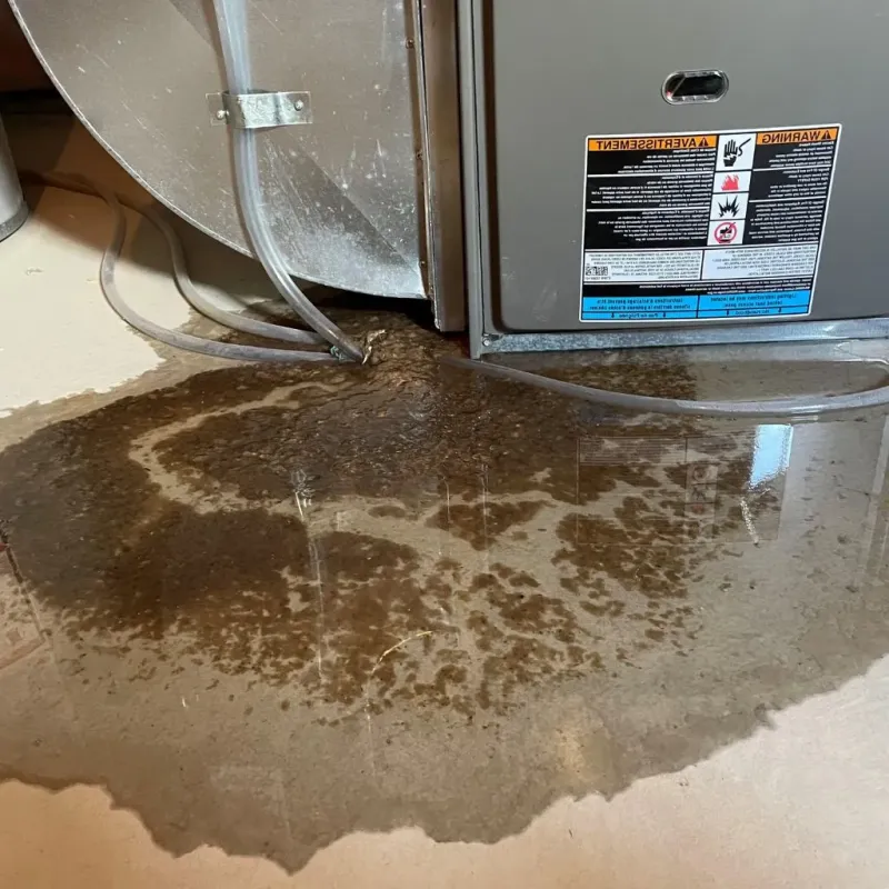Pipe Burst and Leak Restoration in Ward County, TX