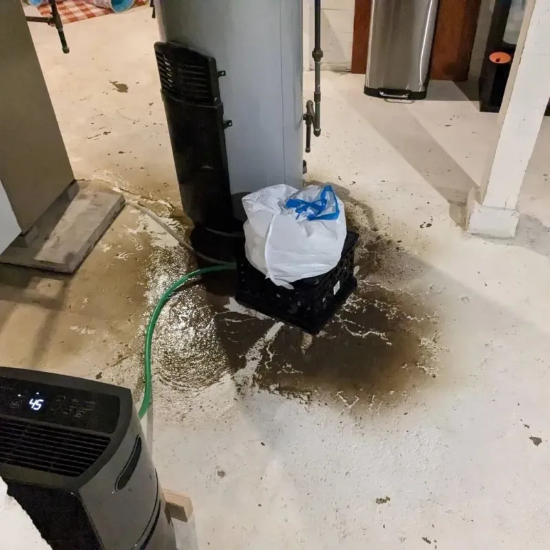Sewage Backup Cleanup Service in Ward County, TX